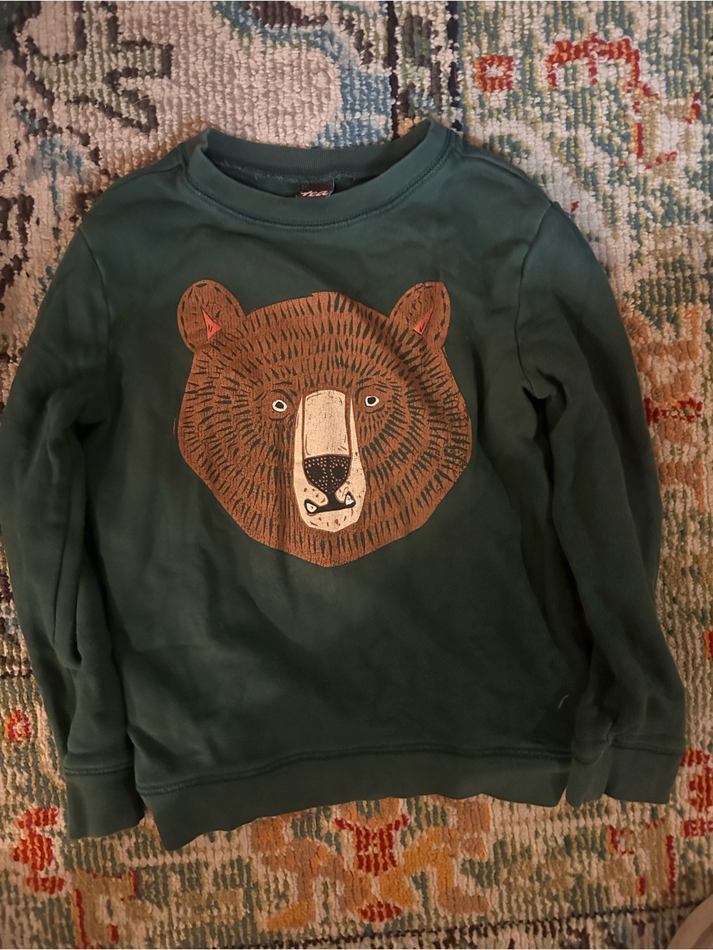Tea Collection Forest Green Bear Graphic Sweatshirt